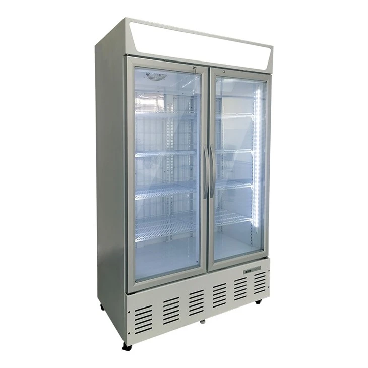 Upright Ice Cream Freezer